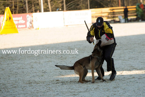 Police Dog Training Bite Sleeve